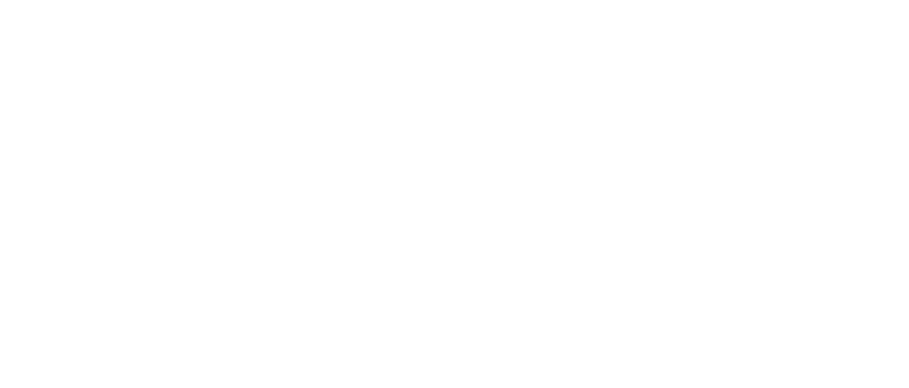 Logo DMR