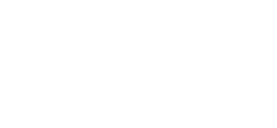 Logo Sonic