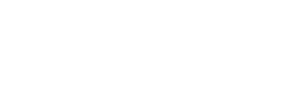 Logo Zebra